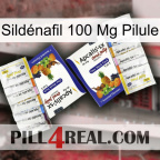Sildénafil 100 Mg Pilule 12